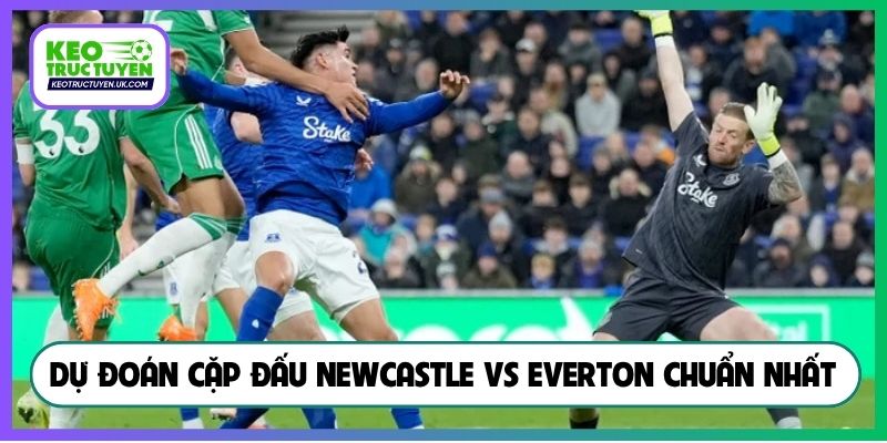 Dự đoán cặp đấu Newcastle vs Everton chuẩn nhất