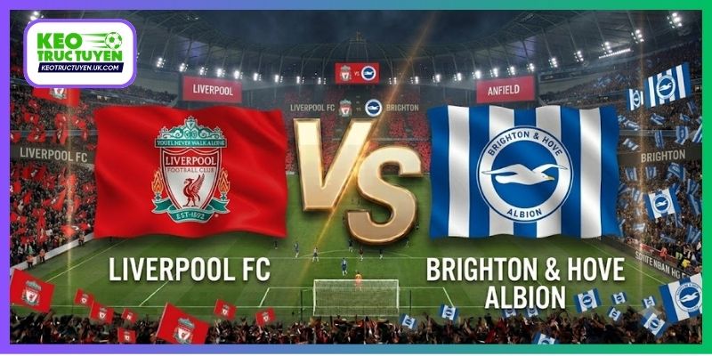 Soi Kèo Liverpool Vs Brighton 21H00, 25/10, Ngoại hạng Anh